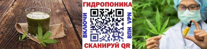 где купить   Ядрин  мега ССЫЛКА  Cannafood конопля 